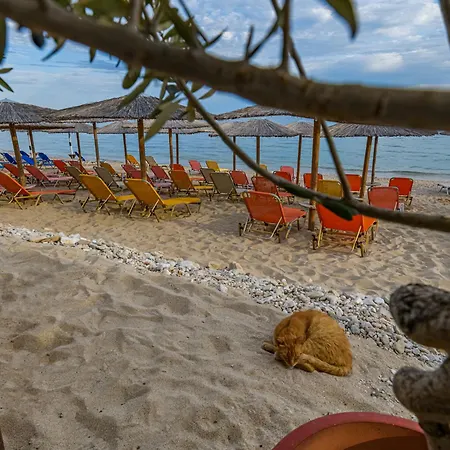 酒店 阿加利酒店