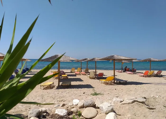 酒店 阿加利酒店 2*