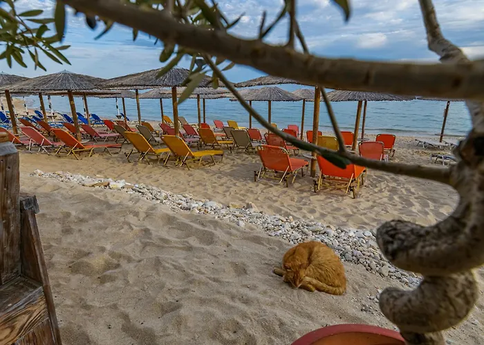 酒店 阿加利酒店