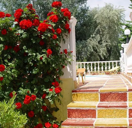 Agali 2* Limenaria (Thasos)